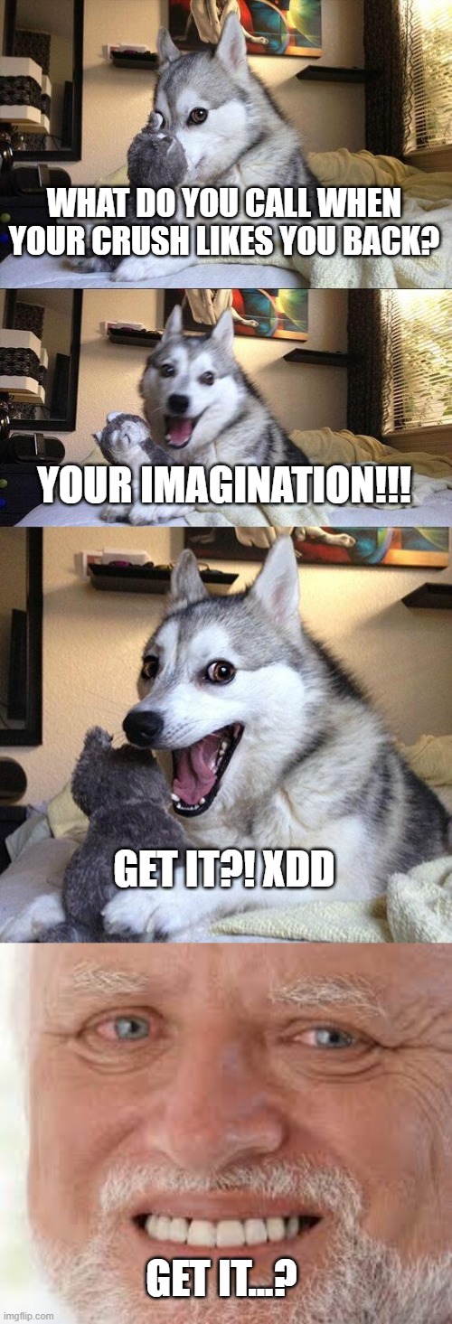 I had to XDD | WHAT DO YOU CALL WHEN YOUR CRUSH LIKES YOU BACK? YOUR IMAGINATION!!! GET IT?! XDD; GET IT...? | image tagged in memes,bad pun dog | made w/ Imgflip meme maker