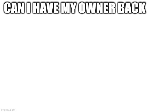 Blank White Template | CAN I HAVE MY OWNER BACK | image tagged in blank white template | made w/ Imgflip meme maker