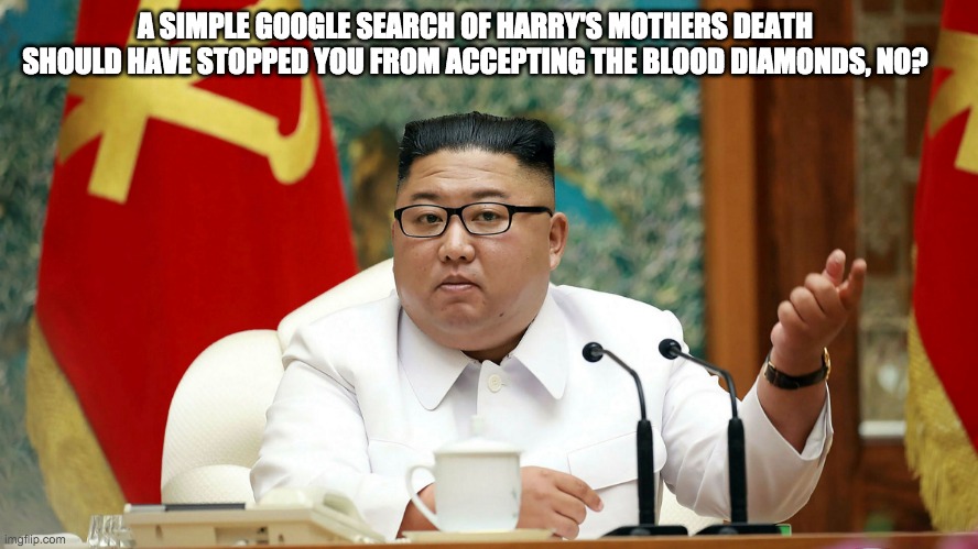 A SIMPLE GOOGLE SEARCH OF HARRY'S MOTHERS DEATH SHOULD HAVE STOPPED YOU FROM ACCEPTING THE BLOOD DIAMONDS, NO? | image tagged in prince harry | made w/ Imgflip meme maker