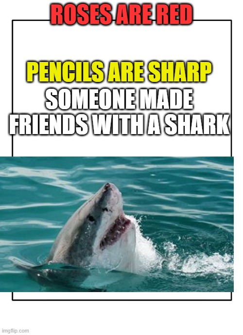 Blank Template | PENCILS ARE SHARP; ROSES ARE RED; SOMEONE MADE FRIENDS WITH A SHARK | image tagged in blank template | made w/ Imgflip meme maker