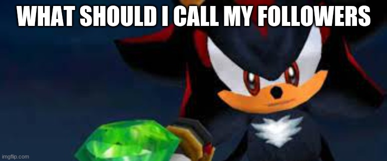 hot topic the hedgehog | WHAT SHOULD I CALL MY FOLLOWERS | image tagged in hot topic the hedgehog | made w/ Imgflip meme maker