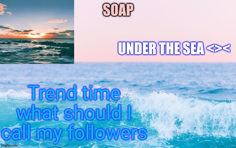 Trend time what should I call my followers | image tagged in o c e a n t h a n c c y a c h i | made w/ Imgflip meme maker