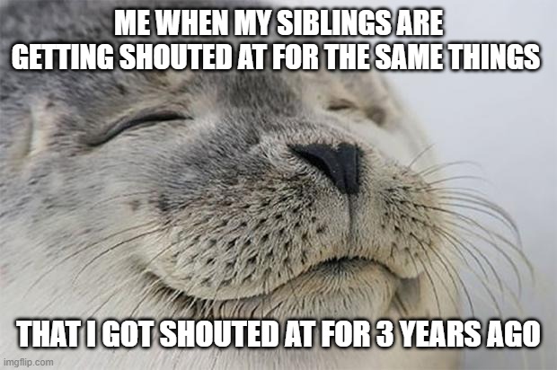 Satisfied Seal Meme | ME WHEN MY SIBLINGS ARE GETTING SHOUTED AT FOR THE SAME THINGS; THAT I GOT SHOUTED AT FOR 3 YEARS AGO | image tagged in memes,satisfied seal | made w/ Imgflip meme maker