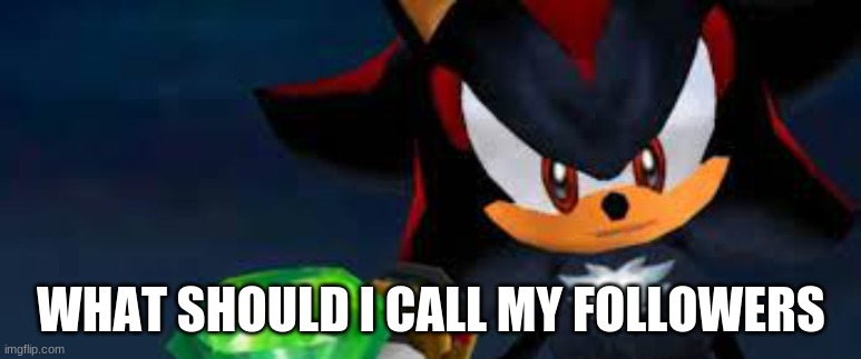 hot topic the hedgehog | WHAT SHOULD I CALL MY FOLLOWERS | image tagged in hot topic the hedgehog | made w/ Imgflip meme maker