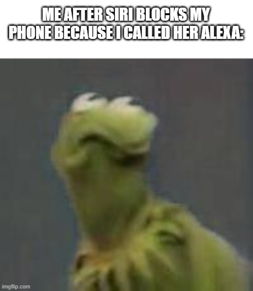 Siri... I´m sorry | ME AFTER SIRI BLOCKS MY PHONE BECAUSE I CALLED HER ALEXA: | image tagged in siri,alexa,kermit the frog,iphone | made w/ Imgflip meme maker