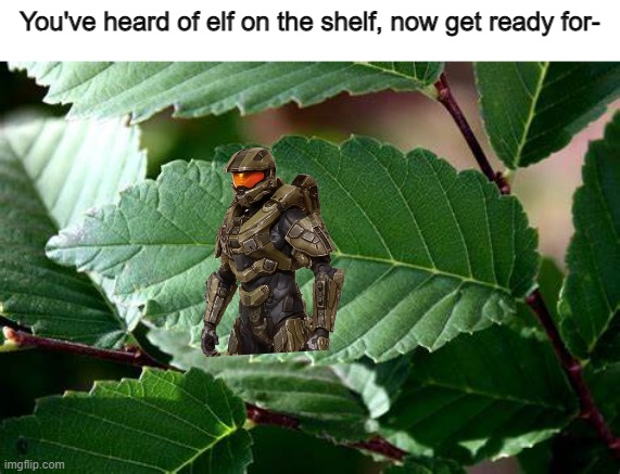  You've heard of elf on the shelf, now get ready for-; Chief on a leaf XDD | image tagged in chief on a leaf | made w/ Imgflip meme maker