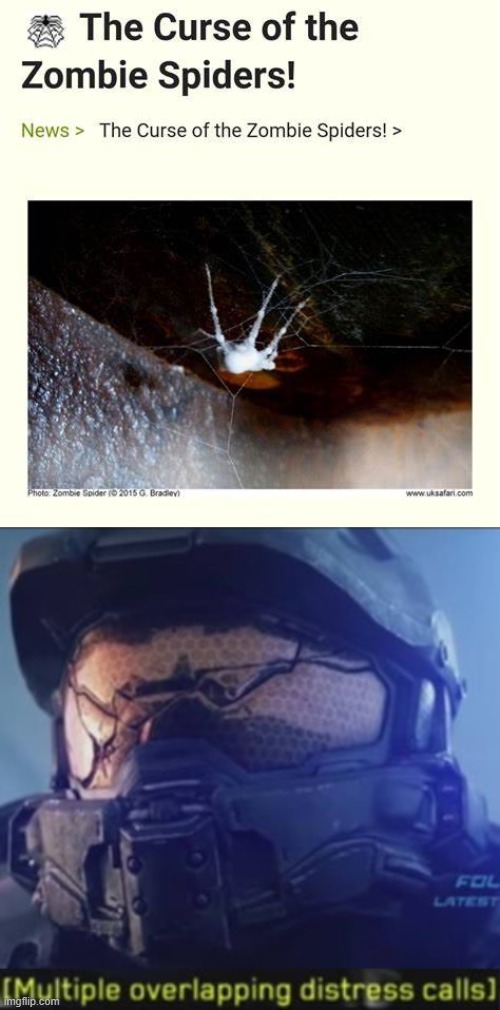 ITS THE FLOOD | image tagged in multiple overlapping distress calls | made w/ Imgflip meme maker