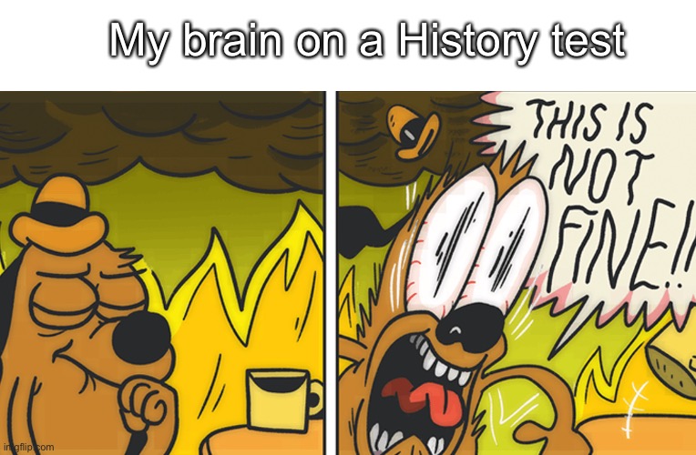 This is NOT FINE | My brain on a History test | image tagged in this is not fine | made w/ Imgflip meme maker