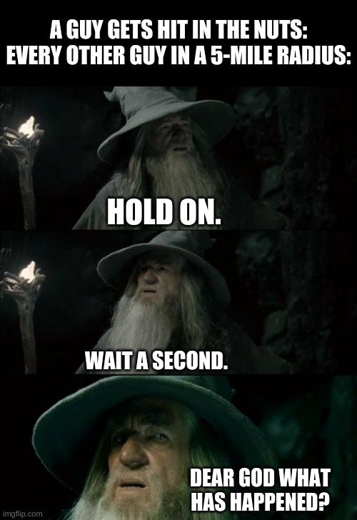 Confused Gandalf Meme |  A GUY GETS HIT IN THE NUTS:
EVERY OTHER GUY IN A 5-MILE RADIUS:; HOLD ON. WAIT A SECOND. DEAR GOD WHAT HAS HAPPENED? | image tagged in memes,confused gandalf | made w/ Imgflip meme maker