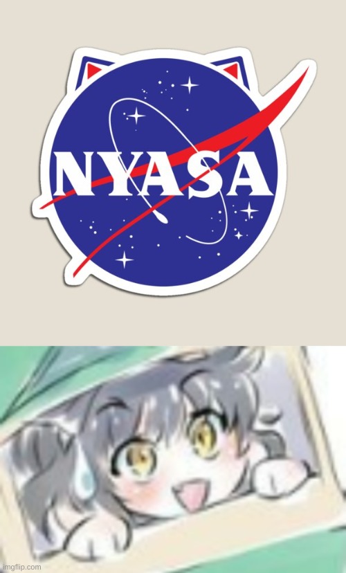 image tagged in extremely nervous kitten time | made w/ Imgflip meme maker