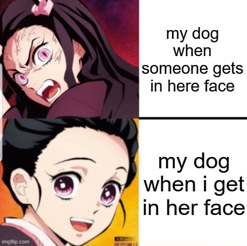 Nezuko Template | my dog when someone gets in here face; my dog when i get in her face | image tagged in nezuko template | made w/ Imgflip meme maker