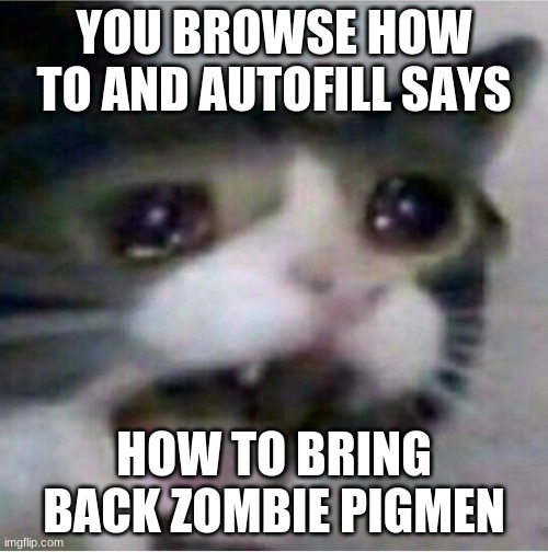 crying cat | YOU BROWSE HOW TO AND AUTOFILL SAYS; HOW TO BRING BACK ZOMBIE PIGMEN | image tagged in crying cat | made w/ Imgflip meme maker