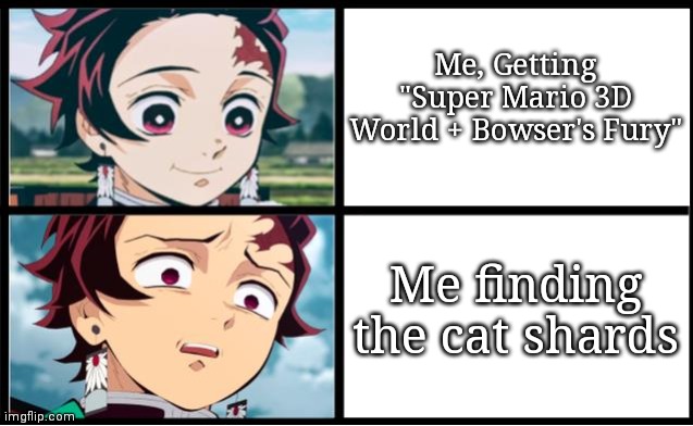 Mario 3D world in a nutshell | Me, Getting "Super Mario 3D World + Bowser's Fury"; Me finding the cat shards | image tagged in tanjiro approval | made w/ Imgflip meme maker