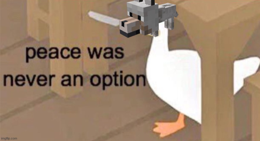 Untitled Goose Peace Was Never an Option | image tagged in untitled goose peace was never an option | made w/ Imgflip meme maker