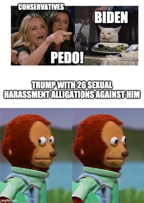 CONSERVATIVES; BIDEN; PEDO! TRUMP WITH 26 SEXUAL HARASSMENT ALLIGATIONS AGAINST HIM | image tagged in blank white template | made w/ Imgflip meme maker