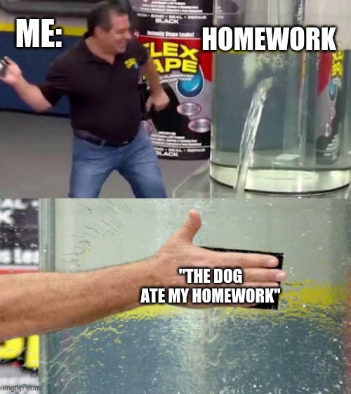 Try that, it works | ME:; HOMEWORK; "THE DOG ATE MY HOMEWORK" | image tagged in flex tape | made w/ Imgflip meme maker