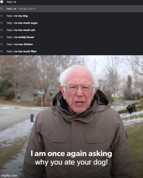 who eats their dog! | why you ate your dog! | image tagged in memes,bernie i am once again asking for your support,doge | made w/ Imgflip meme maker
