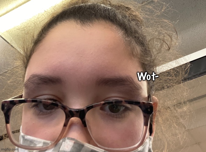 Wot- | image tagged in o h h i | made w/ Imgflip meme maker