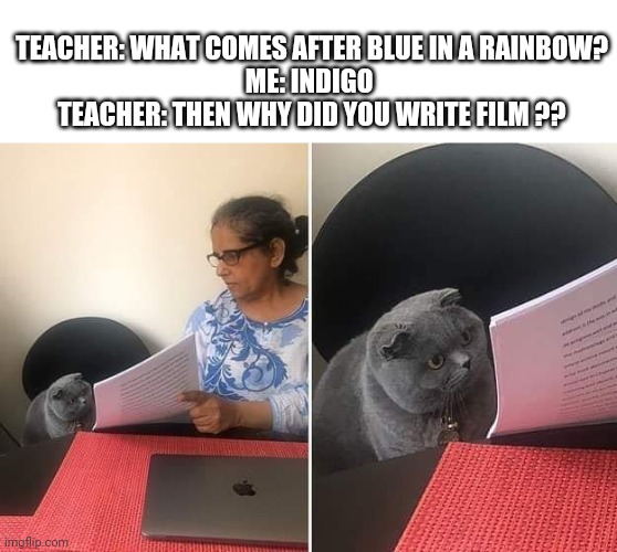 Woman showing paper to cat | TEACHER: WHAT COMES AFTER BLUE IN A RAINBOW?
ME: INDIGO 
TEACHER: THEN WHY DID YOU WRITE FILM ?? | image tagged in woman showing paper to cat | made w/ Imgflip meme maker