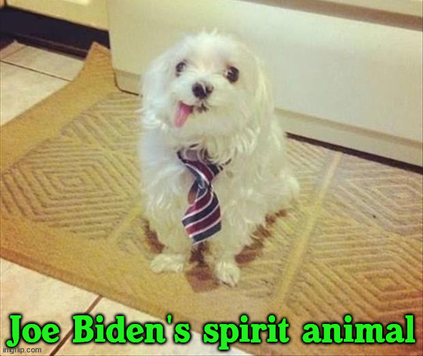 Joe Biden's spirit animal | image tagged in conservatives | made w/ Imgflip meme maker