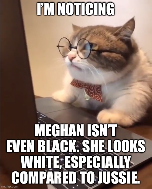It’s obvious that Meghan Markle is White | I’M NOTICING MEGHAN ISN’T EVEN BLACK. SHE LOOKS WHITE, ESPECIALLY COMPARED TO JUSSIE. | image tagged in research cat,memes,jussie smollett,meghan markle,oprah,black and white | made w/ Imgflip meme maker