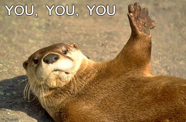 You Otter No |  YOU,  YOU,  YOU | image tagged in humor,bad pun | made w/ Imgflip meme maker