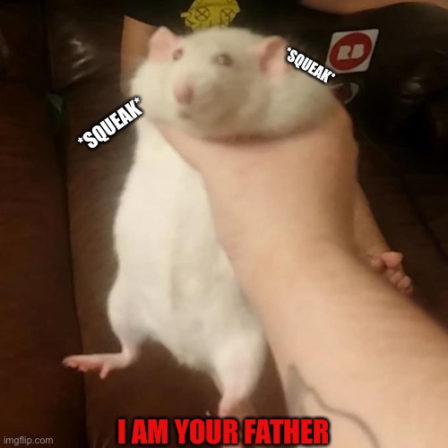 rat squish | *SQUEAK*; *SQUEAK*; I AM YOUR FATHER | image tagged in rat squish | made w/ Imgflip meme maker