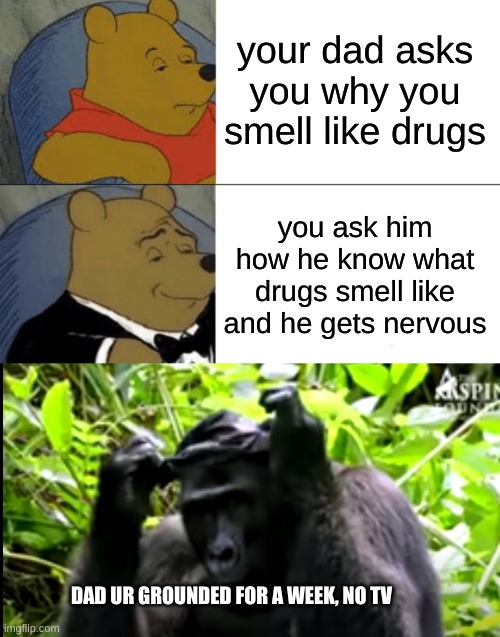 your dad asks you why you smell like drugs; you ask him how he know what drugs smell like and he gets nervous; DAD UR GROUNDED FOR A WEEK, NO TV | image tagged in memes,tuxedo winnie the pooh | made w/ Imgflip meme maker