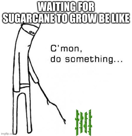 It's so boring | WAITING FOR SUGARCANE TO GROW BE LIKE | image tagged in cmon do something | made w/ Imgflip meme maker