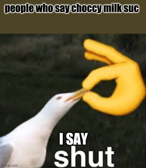 SHut rn | people who say choccy milk suc; I SAY | image tagged in shut bird | made w/ Imgflip meme maker