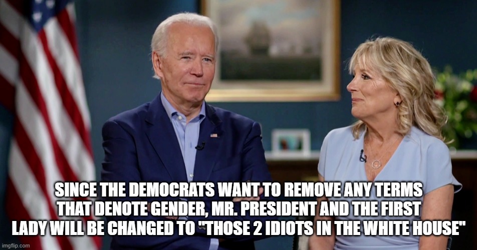 Those 2 idiots | SINCE THE DEMOCRATS WANT TO REMOVE ANY TERMS THAT DENOTE GENDER, MR. PRESIDENT AND THE FIRST LADY WILL BE CHANGED TO "THOSE 2 IDIOTS IN THE WHITE HOUSE" | image tagged in mr president,joe biden,jill biden,first lady,gender | made w/ Imgflip meme maker