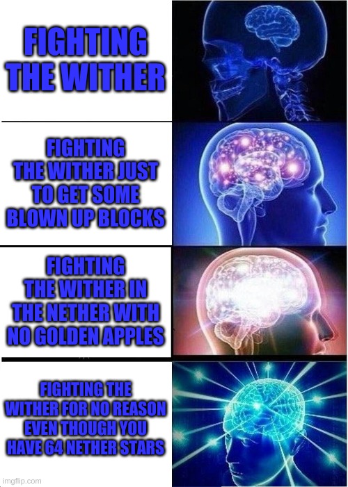 Wither big brainz | FIGHTING THE WITHER; FIGHTING THE WITHER JUST TO GET SOME BLOWN UP BLOCKS; FIGHTING THE WITHER IN THE NETHER WITH NO GOLDEN APPLES; FIGHTING THE WITHER FOR NO REASON EVEN THOUGH YOU HAVE 64 NETHER STARS | image tagged in memes,expanding brain | made w/ Imgflip meme maker