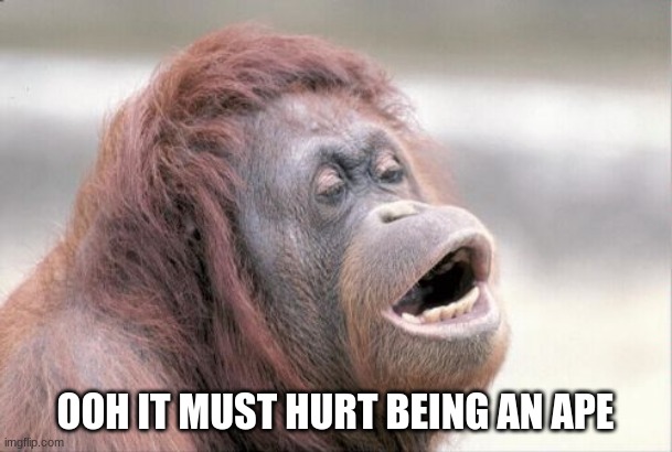 Monkey OOH Meme | OOH IT MUST HURT BEING AN APE | image tagged in memes,monkey ooh | made w/ Imgflip meme maker