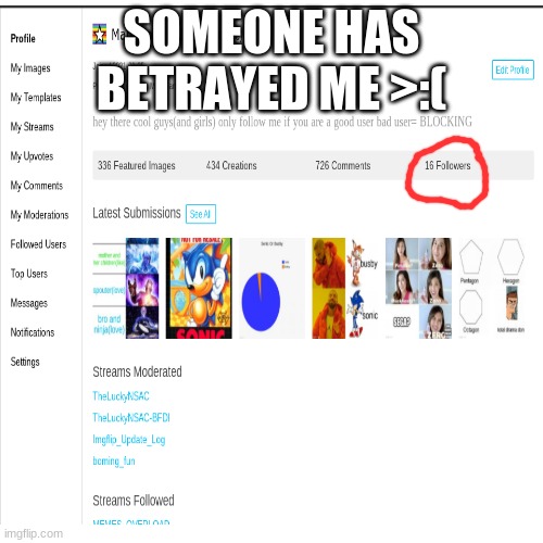 IVE BEEN BETRAYED BY A FOLLOWER! | SOMEONE HAS BETRAYED ME >:( | image tagged in betrayal | made w/ Imgflip meme maker