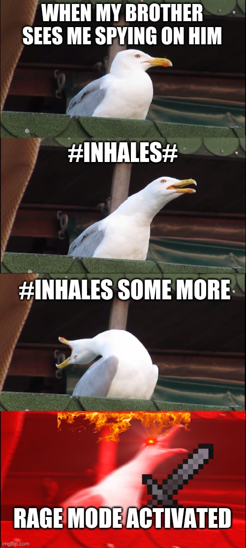 Inhaling Seagull | WHEN MY BROTHER SEES ME SPYING ON HIM; #INHALES#; #INHALES SOME MORE; RAGE MODE ACTIVATED | image tagged in memes,inhaling seagull | made w/ Imgflip meme maker