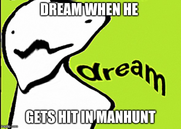 dream when he gets hit | DREAM WHEN HE; GETS HIT IN MANHUNT | image tagged in dream when he gets hit | made w/ Imgflip meme maker