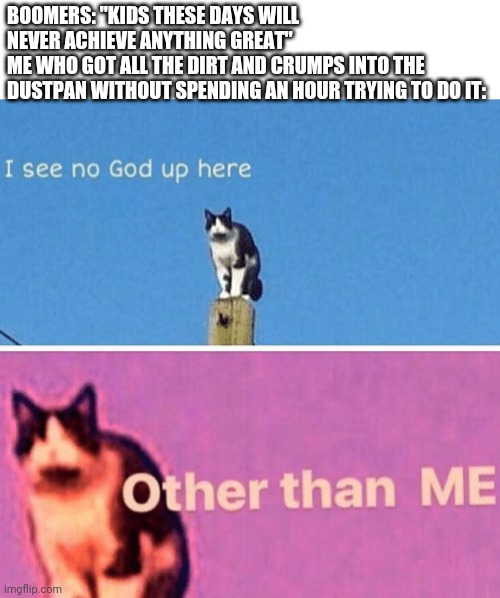 I am a god | BOOMERS: "KIDS THESE DAYS WILL NEVER ACHIEVE ANYTHING GREAT"
ME WHO GOT ALL THE DIRT AND CRUMPS INTO THE DUSTPAN WITHOUT SPENDING AN HOUR TRYING TO DO IT: | image tagged in hail pole cat | made w/ Imgflip meme maker