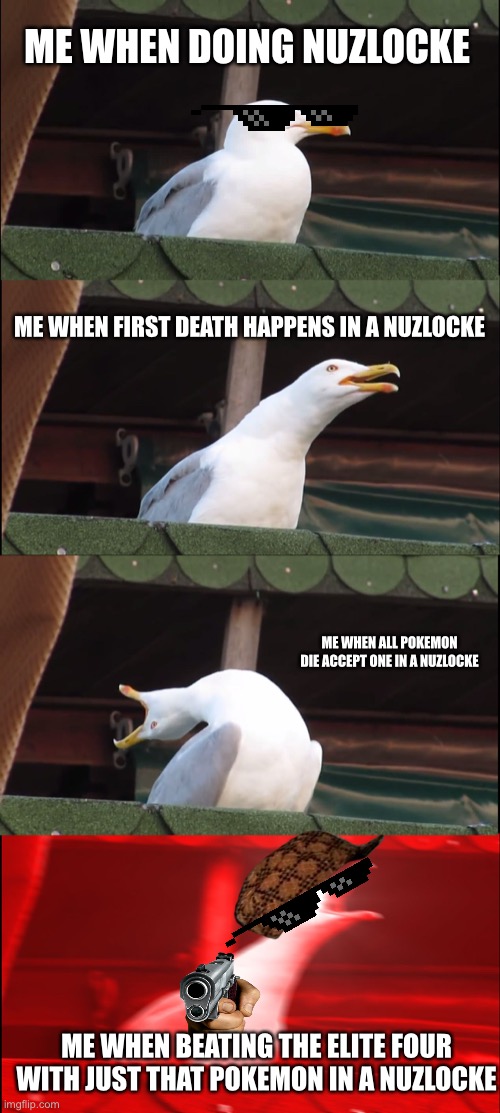 Nuzlocke Insane mode | ME WHEN DOING NUZLOCKE; ME WHEN FIRST DEATH HAPPENS IN A NUZLOCKE; ME WHEN ALL POKEMON DIE ACCEPT ONE IN A NUZLOCKE; ME WHEN BEATING THE ELITE FOUR WITH JUST THAT POKEMON IN A NUZLOCKE | image tagged in memes,inhaling seagull | made w/ Imgflip meme maker