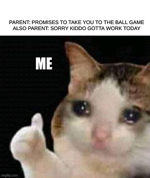 sad thumbs up cat | PARENT: PROMISES TO TAKE YOU TO THE BALL GAME
ALSO PARENT: SORRY KIDDO GOTTA WORK TODAY; ME | image tagged in sad thumbs up cat | made w/ Imgflip meme maker