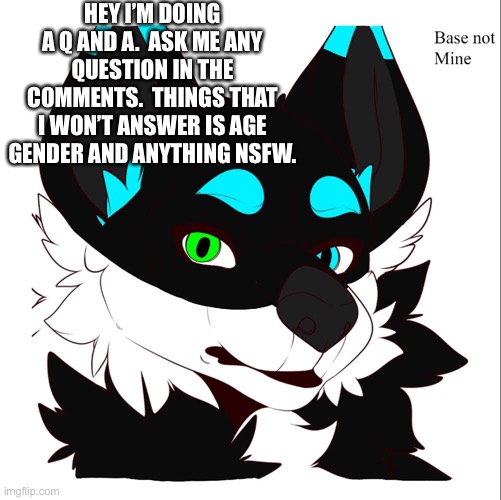 Q and A | HEY I’M DOING A Q AND A.  ASK ME ANY QUESTION IN THE COMMENTS.  THINGS THAT I WON’T ANSWER IS AGE GENDER AND ANYTHING NSFW. | image tagged in furry | made w/ Imgflip meme maker