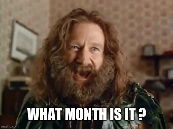 What Year Is It Meme | WHAT MONTH IS IT ? | image tagged in memes,what year is it | made w/ Imgflip meme maker