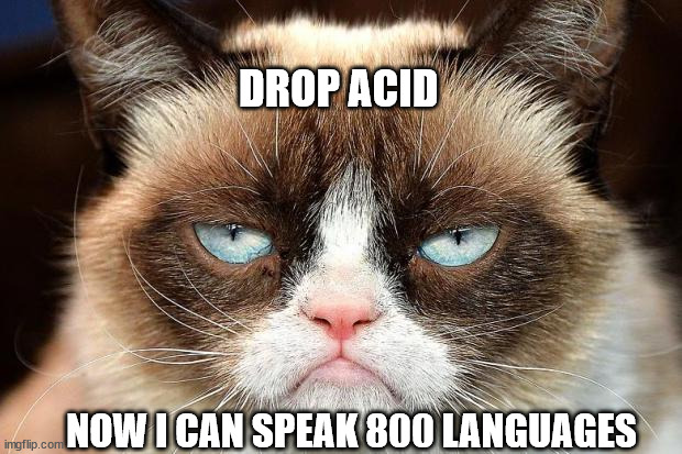 Grumpy Cat Not Amused Meme |  DROP ACID; NOW I CAN SPEAK 800 LANGUAGES | image tagged in memes,grumpy cat not amused,grumpy cat | made w/ Imgflip meme maker