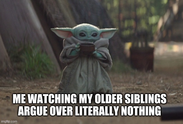 I love watching arguments | ME WATCHING MY OLDER SIBLINGS ARGUE OVER LITERALLY NOTHING | image tagged in baby yoda,argument,siblings | made w/ Imgflip meme maker