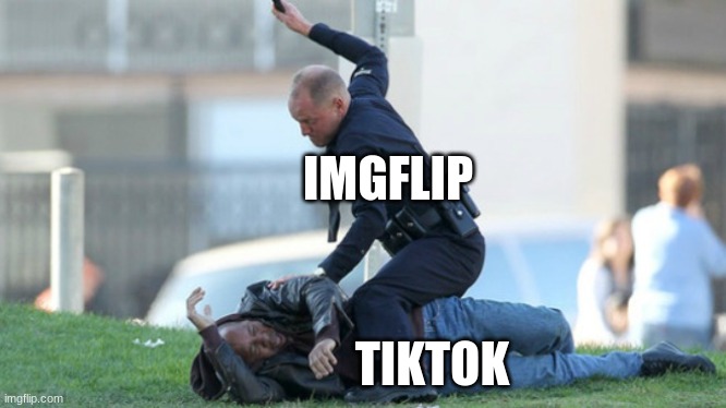 Cop Beating |  IMGFLIP; TIKTOK | image tagged in cop beating | made w/ Imgflip meme maker