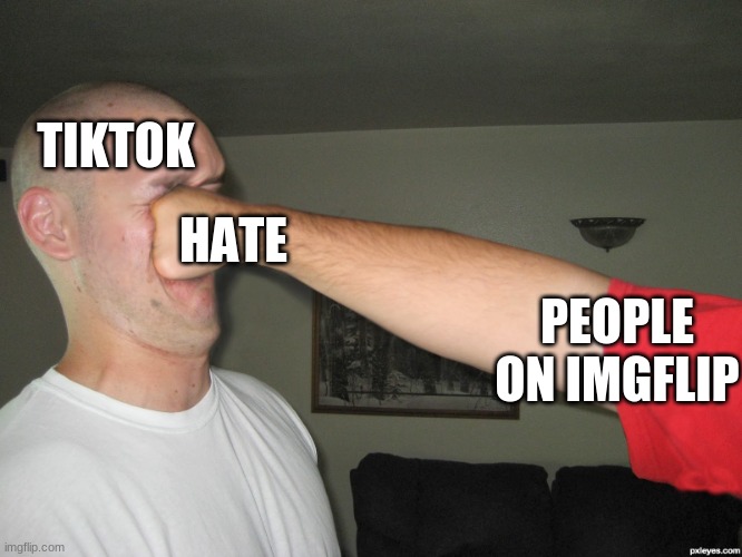 tell me this isnt true | TIKTOK; HATE; PEOPLE ON IMGFLIP | image tagged in face punch,tiktok,imgflip users | made w/ Imgflip meme maker