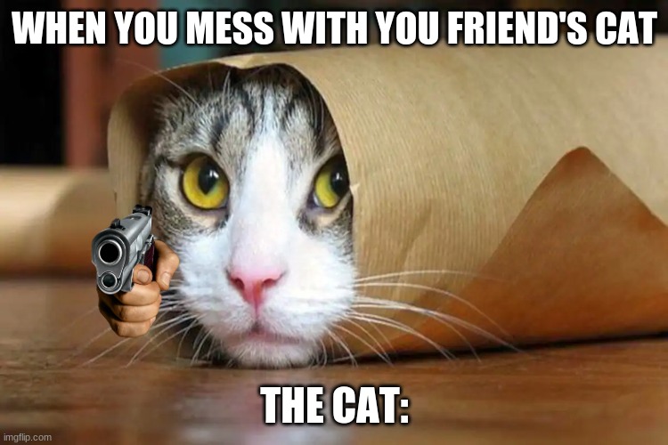 WHEN YOU MESS WITH YOU FRIEND'S CAT; THE CAT: | made w/ Imgflip meme maker