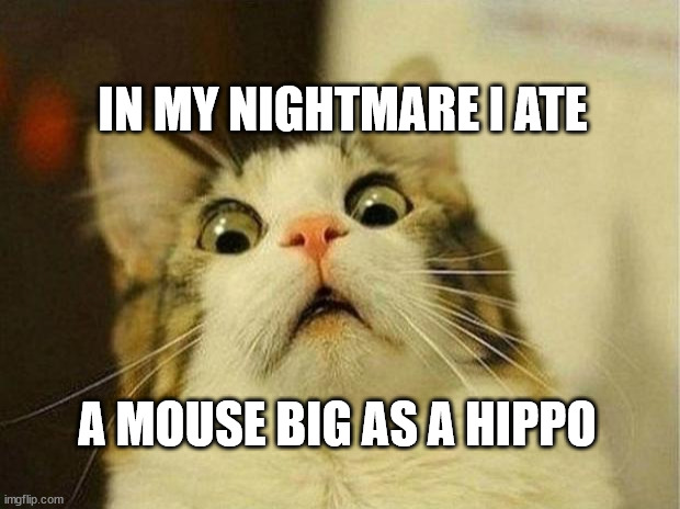 Scared Cat | IN MY NIGHTMARE I ATE; A MOUSE BIG AS A HIPPO | image tagged in memes,scared cat | made w/ Imgflip meme maker