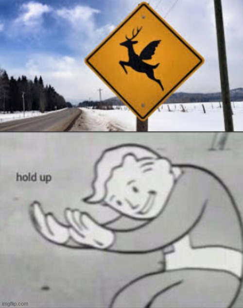 Caution flying deers | image tagged in fallout hold up | made w/ Imgflip meme maker