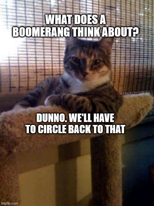The Most Interesting Cat In The World Meme | WHAT DOES A BOOMERANG THINK ABOUT? DUNNO. WE'LL HAVE TO CIRCLE BACK TO THAT | image tagged in memes,the most interesting cat in the world | made w/ Imgflip meme maker