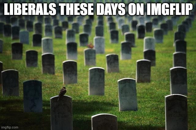 Even on there chicken stream they have very much disappeared | LIBERALS THESE DAYS ON IMGFLIP | image tagged in graveyard cemetary,liberal | made w/ Imgflip meme maker